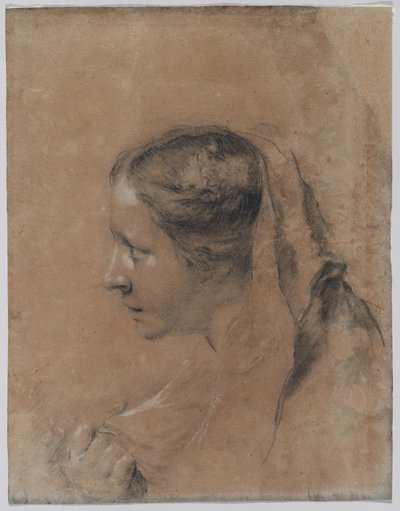 Kopf einer Frau im Profil mit einem Schal von Giovanni Battista Piazzetta