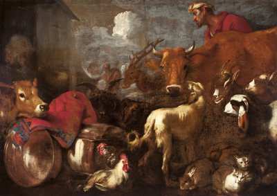 Die Tiere betreten die Arche Noah von Castiglione, Giovanni Benedetto (1610-1665). Öl auf Leinwand, Größe: 170x238 von Giovanni Benedetto Castiglione