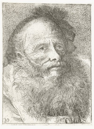 Mann mit Bart und Kopfbedeckung mit Feder Sammlung von Köpfen (Serie) von Giovanni Domenico Tiepolo