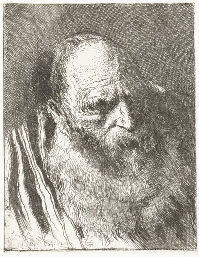 Mann mit Bart in gestreiftem Mantel (Sammlung von Köpfen) von Giovanni Domenico Tiepolo