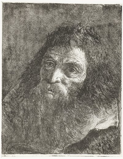 Mann mit langem Haar und Bart von Giovanni Domenico Tiepolo