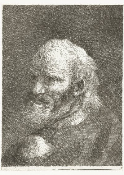 Mann mit entblößter Schulter von Giovanni Domenico Tiepolo