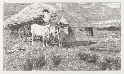 Vor einen Karren gespannte Ochsen (Maremma) von Giovanni Fattori