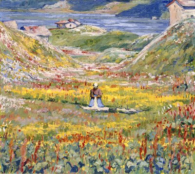 Blühende Wiesen bei Maloja, ca. 1912-1924 von Giovanni Giacometti