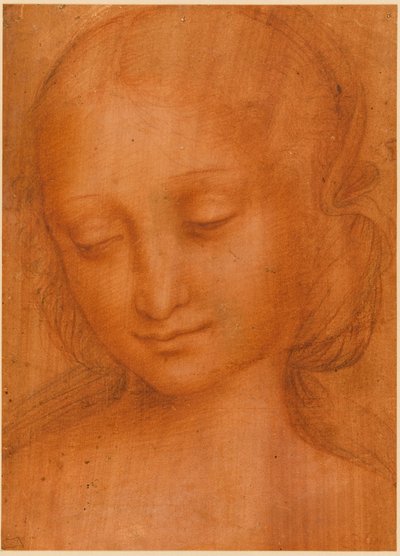 Kopf einer Frau von Giovanni Pietro Rizzoli Giampietrino