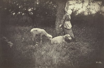 Hirtin, die sich an einen Baum lehnt, mit zwei Schafen, 1870 von Giraudon