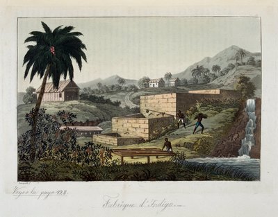 Die Indigo-Fabrik - in Le costume ancien et moderne von Dr. Jules Ferrario, ed. Mailand von Giulio Ferrario