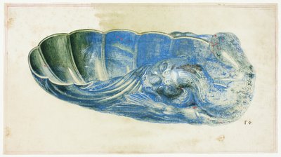 Blaue und grüne Muschel mit Drachenkopf von Giuseppe Grisoni