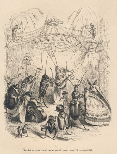 Insektenkonzert auf einem Ball. Vignetten illustriert von JJ Granville. Gravur signiert Godard im Teil "Die Abenteuer eines Schmetterlings" geschrieben von PJ Stahl in "Szenen aus dem privaten und öffentlichen Leben der Tiere". Paris, J. Hetzel und Paulin von Grandville