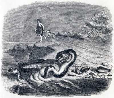 Der Kopf und der Schwanz der Schlange - Fabeln von La Fontaine von Grandville