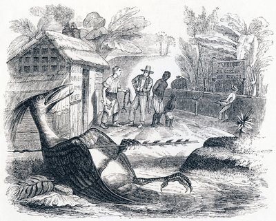 Der Vogel, verletzt von einem Pfeil - Fabeln von La Fontaine von Grandville