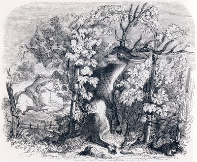 Der Hirsch und der Weinstock - Fabeln von La Fontaine von Grandville