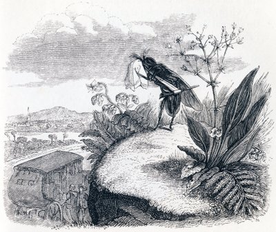 Die Zecke und die Fliege - Fabeln von La Fontaine von Grandville