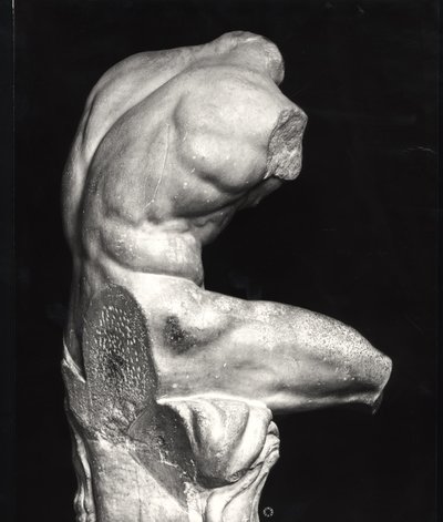 Belvedere-Torso von Greco Roman Greco Roman