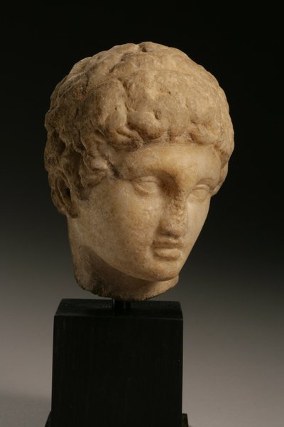 Kopf eines Prinzen, Hellenistische Periode, 4.-3. Jahrhundert v. Chr. (Marmor) von Greek