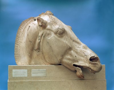 Kopf eines der Pferde von Selene, Göttin des Mondes, vom Ostgiebel des Parthenon, 447-432 v. Chr. (Marmor) von Greek