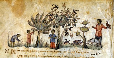Falkenjagd zur Vogeljagd - in „De Venatione“ von Oppianus, griechisches Manuskript aus dem 13. Jahrhundert. Biblioteca Marciana. Venedig von Greek School