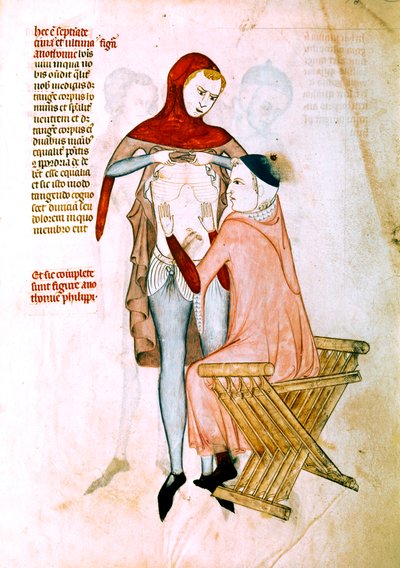 Arzt untersucht den Patienten von Guido da Vigevano da Pavia