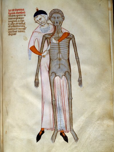 Chirurgie: Dissektion des Thorax von Guido da Vigevano da Pavia