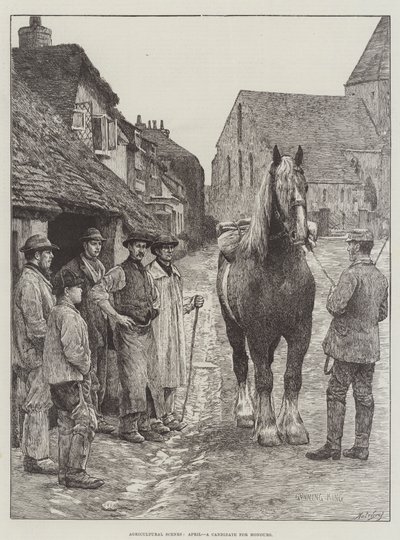 Landwirtschaftliche Szenen, April, ein Kandidat für Ehrungen von Gunning King