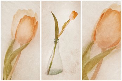 Zartes Tulpen-Stillleben von Gustav Davidsson