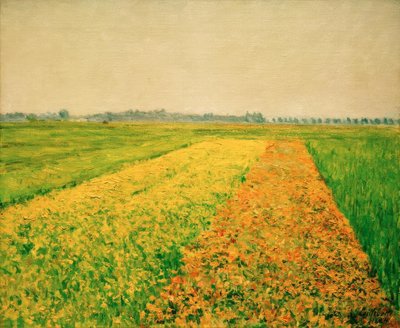 Die Ebene von Gennevilliers, gelbe Felder von Gustave Caillebotte