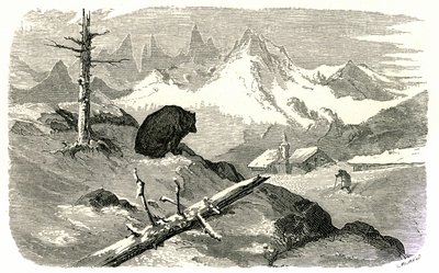 Gravur von Gustave Doré, die das Buch „Reise in die Pyrenäen“ von Hippolyte Taine, Hachette 1860, illustriert. Ein Bär beobachtet einen Mann, der auf sein Haus in den Bergen zugeht. von Gustave Dore