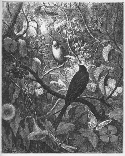 Philomele und Progne - aus "Fabeln" von Jean de La Fontaine von Gustave Dore