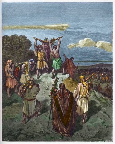 Rückkehr aus dem Land Kanaan - Die Rückkehr von Josua und Kaleb mit einer riesigen Traube aus dem Land Kanaan (Gelobtes Land) - Gravur in „Die illustrierte Bibel“ von Gustave Doré (1832-1883) - Gravur aus „Die Doré-Bibel“. von Gustave Dore