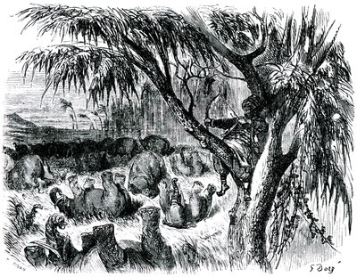 Sindbad der Seefahrer - Märchen aus Tausendundeiner Nacht - Illustration von Gustave Doré - Maxwell-Ausgabe 1865 - Siebte Reise: Sindbad schießt von einem Baum aus mit seinem Bogen auf Elefanten von Gustave Dore