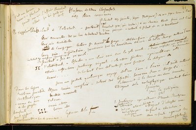 Folio 41 des Arbeitsbuchs Nr. 19 Manuskriptseite von Gustave Flauberts Entwürfen. Pläne für Bouvard und Pécuchet. BHVP. von Gustave Flaubert