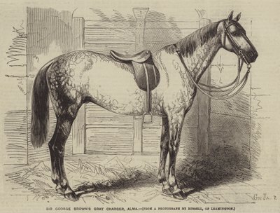Sir George Browns grauer Hengst, Alma von Gustave Janet