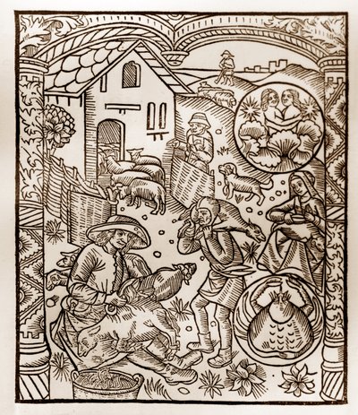 Hirtenkalender - Die Arbeiten der Monate - Juni - Holzschnitt aus dem Buch von 1496, gedruckt von Guy Marchant (Guido Mercator) in Troyes - Holzgravur in „Le grand Calendrier et compost des shepherds“ von Guy Marchant