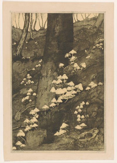 Pilze im Wald von H.C. Spruit (signed by artist)