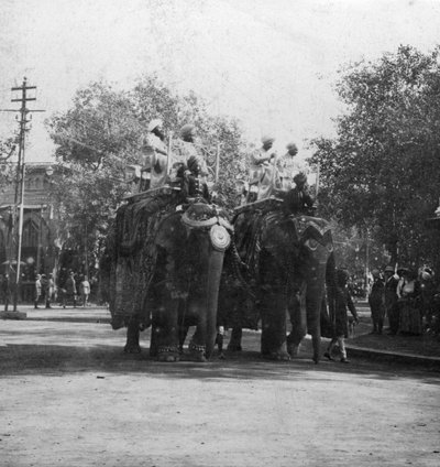 Eine Punjabi-Prinzessin reitet auf einem Elefanten in einer Prozession, Delhi, Indien von H. Hands and Son