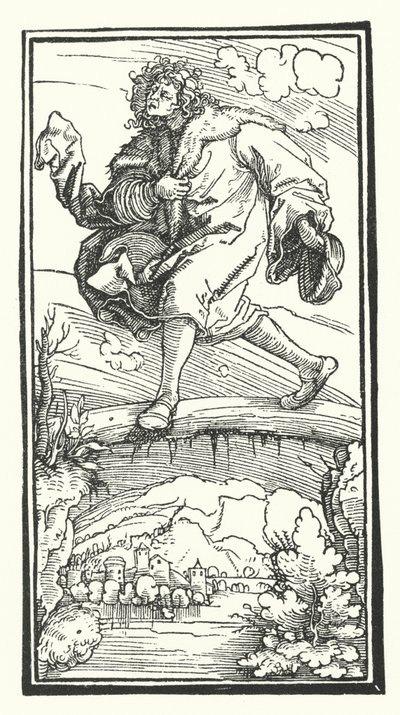Holzschnitt aus De Remediis Utriusque Fortunae (Heilmittel für Glück und Unglück) von Petrarca von Hans (after) Burgkmair