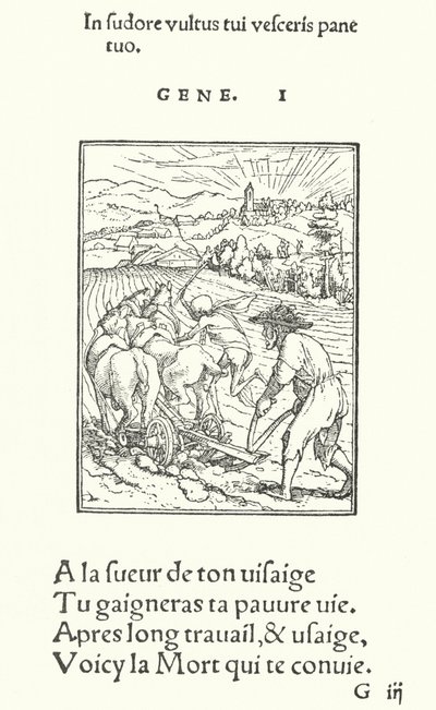 Der Pflüger oder Bauer (Gravur) von Hans (after) Holbein the Younger