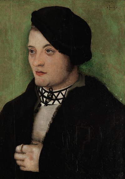 Porträt eines jungen Mannes im Halbprofil links von Hans Baldung Grien