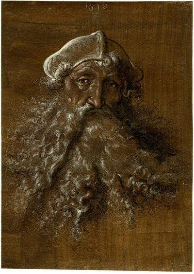 Kopf eines alten Mannes mit schwerem Bart von Hans Baldung Grien