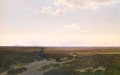 Ansicht der Pårup-Moore bei Silkeborg, Jütland von Hans Friis