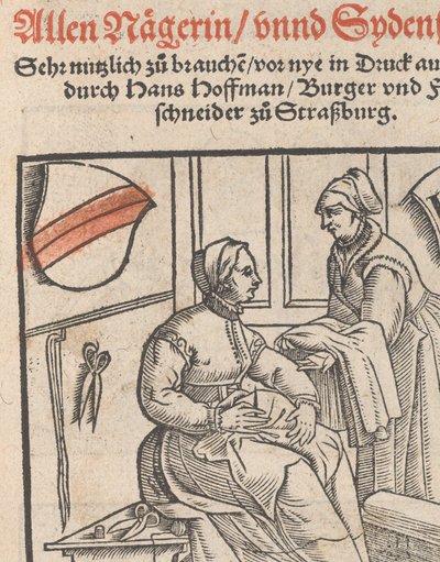 New Modelbüch allen Nägerin u. Sydenstickern Titelblatt, 1r, 1556 von Hans Hoffman
