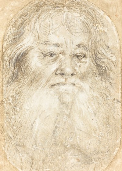 Studie eines bärtigen Mannes [verso] von Hans Holbein the Elder