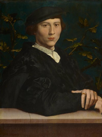 Derich Born von Hans Holbein the Younger