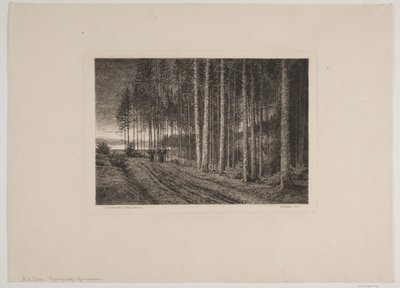Regentag im Tannenwald von Hans Julius Fæster