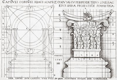 Querschnitt eines korinthischen Kapitells und Proportionszeichnung von Hans Sebald Beham
