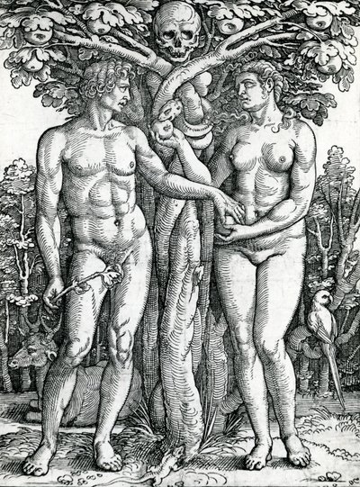 Der Sündenfall von Adam und Eva, c.1525-27 von Hans Sebald Beham