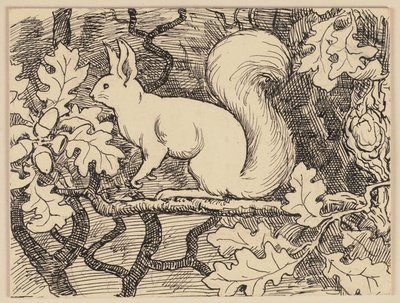 Zeichnung zur Fibel: Eichhörnchen von Hans Thoma