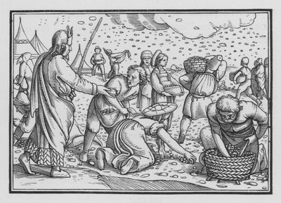 Die Israeliten murren wegen Brot, Exodus XVI, 4 von Hans after Holbein the Younger