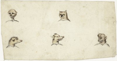 Köpfe von vier Tieren und ein Skelett von Harmen ter Borch
