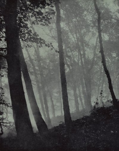 ... gewölbte Wege von Dämmerungshainen und braunen Schatten ... von Kiefer oder monumentaler Eiche, Milton von Harold Burdekin